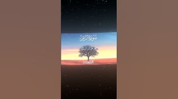 سورة الزمر|22|القارئ:#محمد_اللحيدان #قران #quran #قران_كريم #تلاوة #تلاوة_هادئة #آية #تلاوة_خاشعة