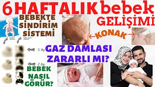 6 Haftalık Bebek Gelişimi (DETAYLI ANLATIM) w/    @Rabia ŞAHİN