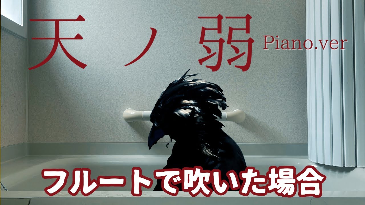 天ノ弱-Piano.ver-をフルートで吹いた場合 | Flute cover