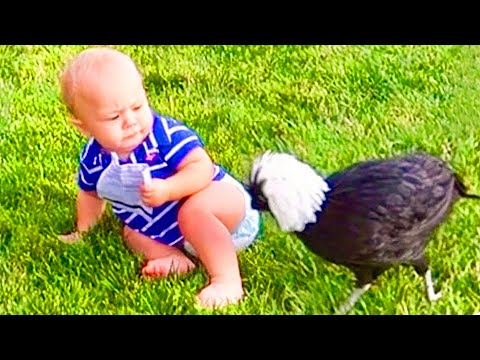 Funniest Baby And Animal Compilation Video #2