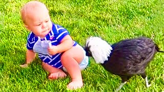 Funniest Baby And Animal Compilation Video #2 by Lovers Baby 7,029 views 1 year ago 1 minute, 20 seconds