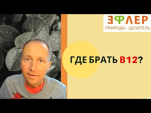 ЦИАНОКОБАЛАМИН. B12. ПРИ ОТКАЗЕ ОТ ЖИВОТНОЙ ПИЩИ. Колоть или НЕ колоть? ПРАКТИКА НАБЛЮДЕНИЙ. АНЕМИЯ.