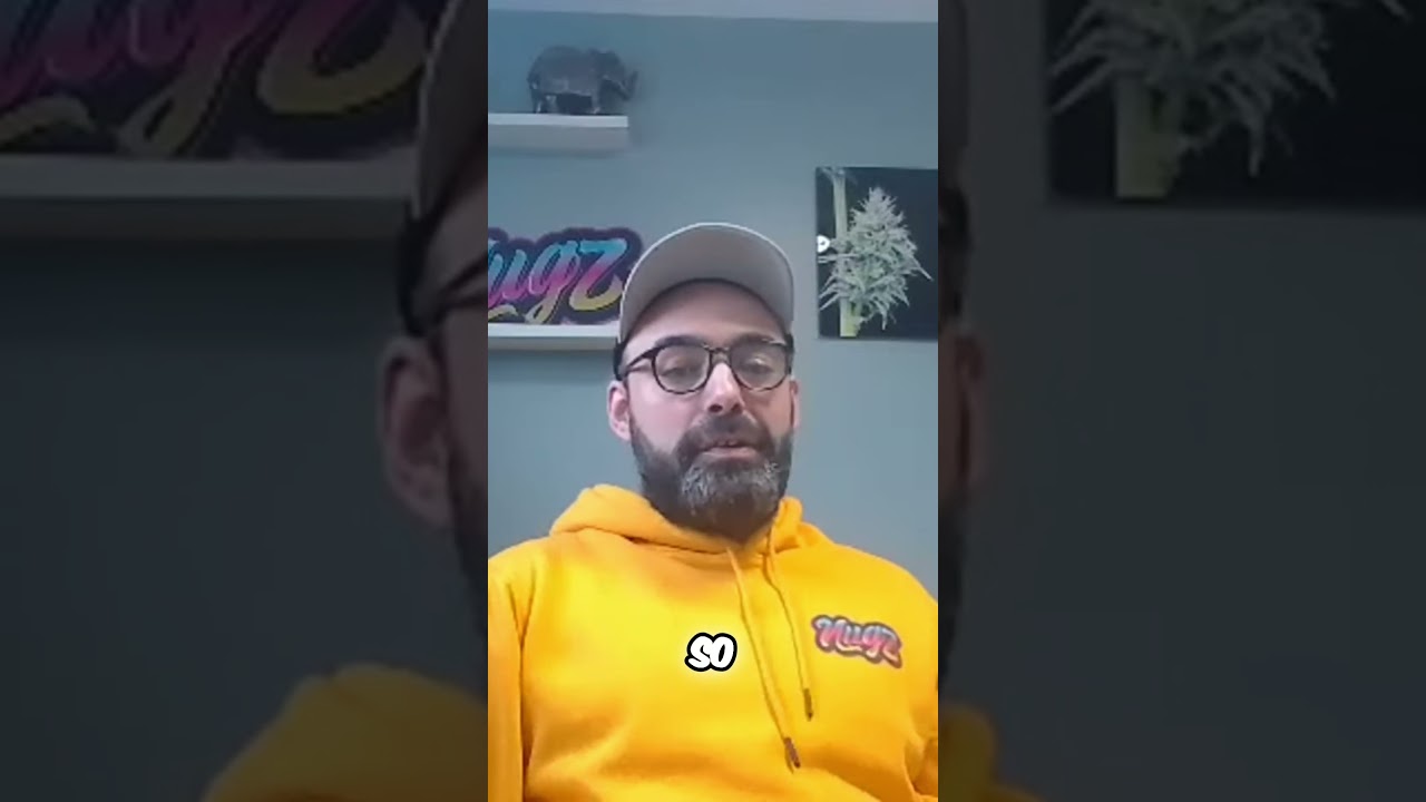 Cannabis Genetic Variability : The Ultimate Challenge and how to win