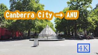 Summer Walk around Canberra City/ANU | Australian Capital Territory | Canberra Australia | 4K