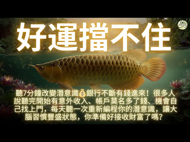 風水金龍魚招財開運音樂🐟432赫茲財富頻率！黃金龍魚游動配上宇宙能量