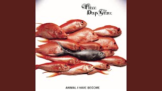 Animal I Have Become (Stripped Acoustic Version) - YouTube