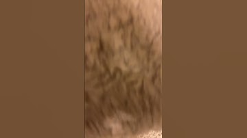 Epic loop #funny #loop #satisfyingloop #shorts  #endlessloop #skincare #perfectloop #supercell