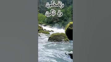 أفمن هذا الحديث تعجبون     سورة النجم