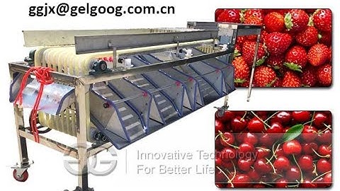 Walnut Sorting Machine|Walnut Grading Machine|Multi purpose Fruit Size Grader
