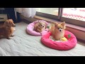 泣き虫な理事長。。優しい八丁目