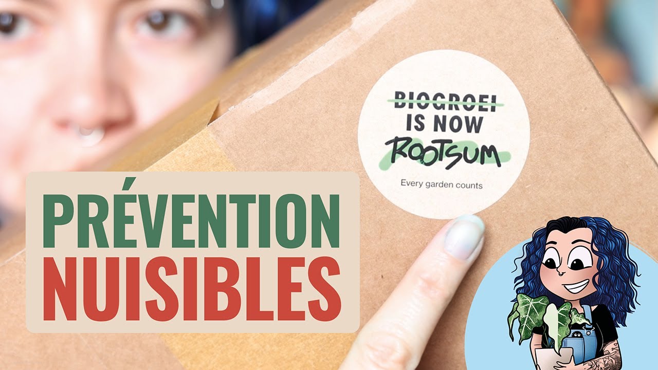 🐜 Traitement préventif naturel contre les Thrips et Cochenilles ! 👩‍🌾