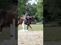 Biggest jump in him!!! 2 ft!!! #summer #horse #equestrianjourney #volleyball #equestrianlife