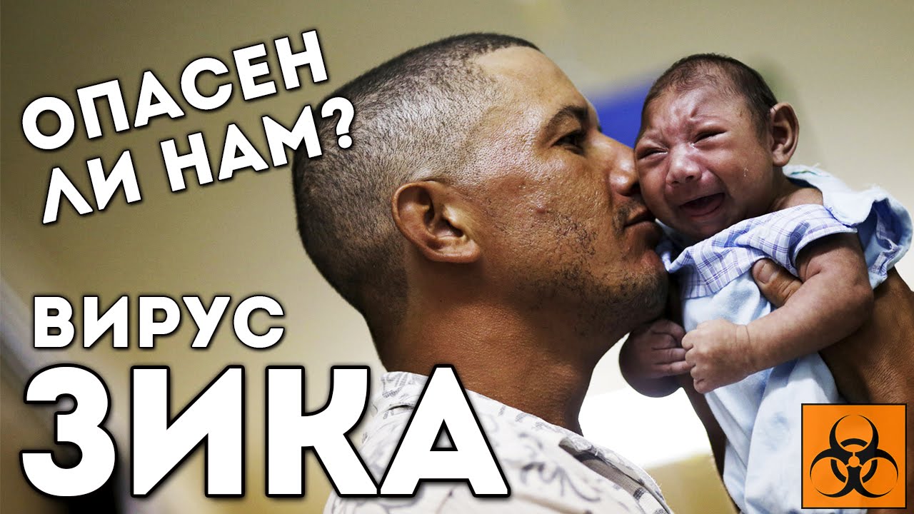 Вирус Зика - что это? Чем нам угрожает вирус Зика?