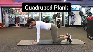 Quadruped Plank - Technique breakdown