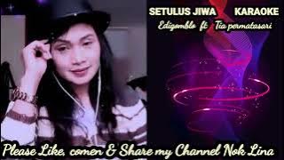 SETULUS JIWA KARAOKE TANPA VOC  COWO COVER  VOC NOK LINA