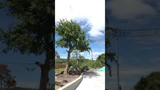 耐候性ビニールハウス