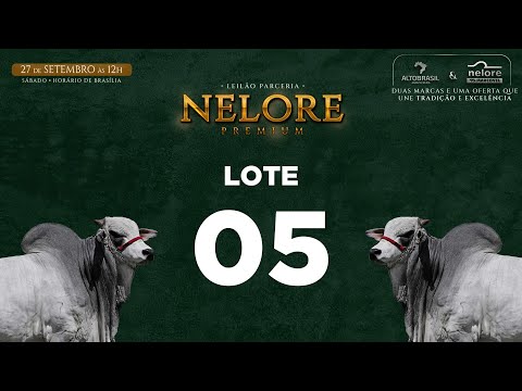 LOTE 05   MNS 13053