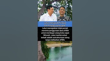 LUHUT TEGASKAN UTANG KERETA CEPAT TAK GUNAKAN APBN