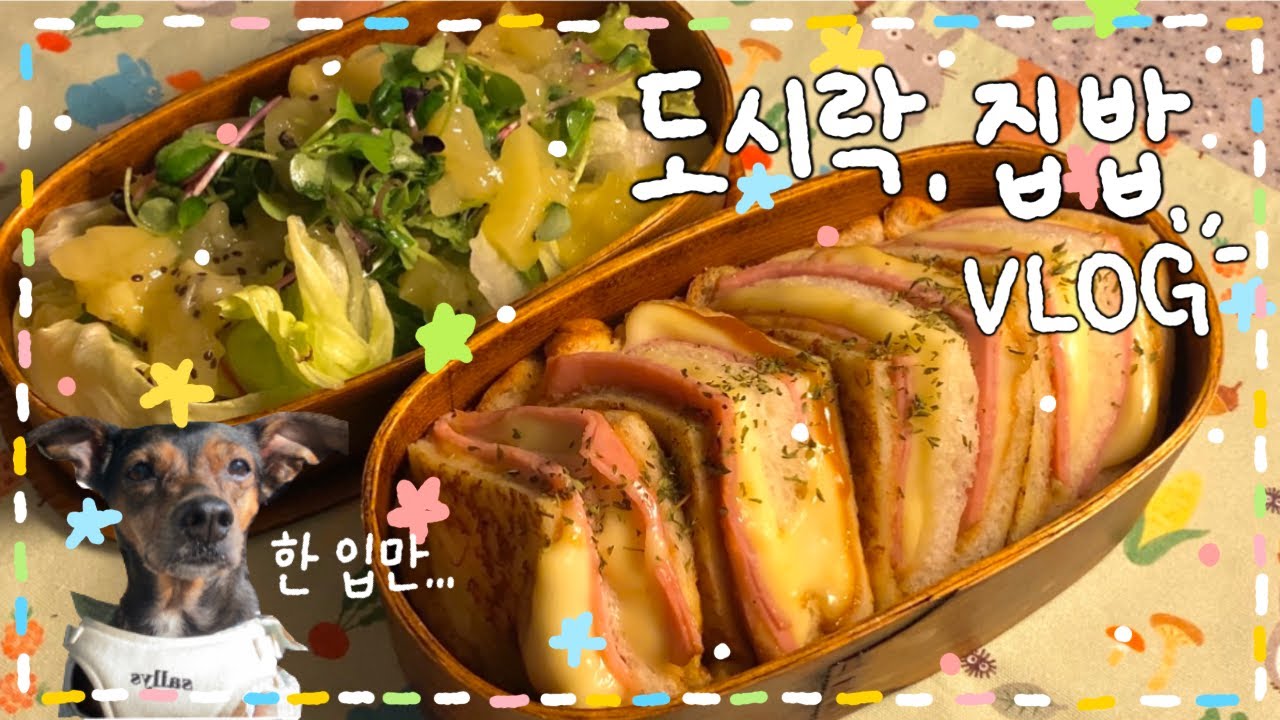 [VLOG] 간단한 도시락. 내게로🌟 몬테크리스토 샌드위치 도시락🥪✨/ 게살 로제 리조또 도시락🦀/ 유린기 & 불닭볶음면 🔥