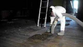 Bat Guano Removal - Batguys