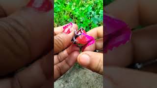 Alpenliebe Juzt Jelly Strawberry Flavour Candy