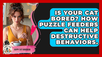 Is Your Cat Bored? How Puzzle Feeders Can Help Destructive Behaviors. - Happy Cat Handbook