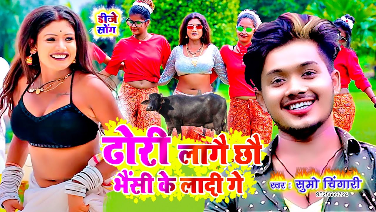 ढोरी लागै छौ भैसी के लादी गे - Dhori Lagai Chau Bhaisi Ke Laadi Ge - Sumo Chingari - Jk Yadav Films