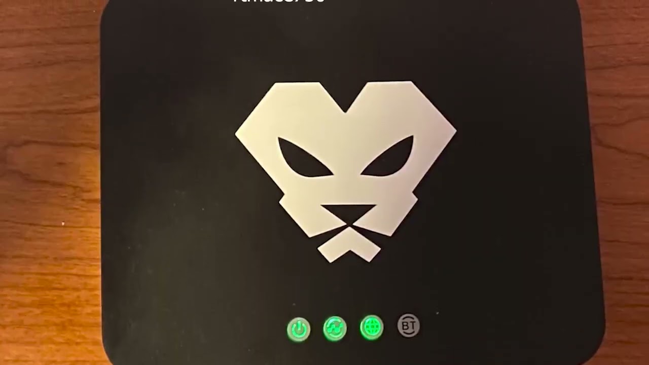 Panther x2 Helium miner