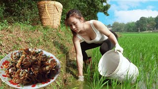 Hard work catching crabs to sell at the market - Cook crab soup at the Farm | Ngân Daily Life