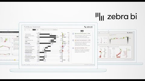 Introducing Zebra BI for Power BI