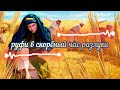 руфи в скорбный час разлуки  група «альфа»