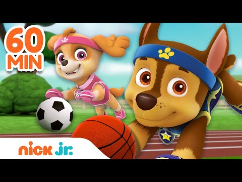 PAW Patrol Sports Rescues u0026 Adventures! ? w/ Chase u0026 Skye | 60 Minute Compilation | Nick Jr.