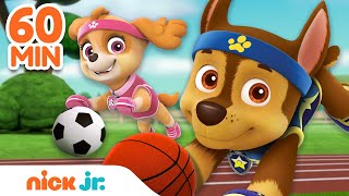 PAW Patrol Sports Rescues \& Adventures! 🏀 w\/ Chase \& Skye | 60 Minute Compilation | Nick Jr.