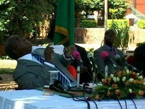 money tree Monkey Urinates on the Zambian Leader During Press Conference