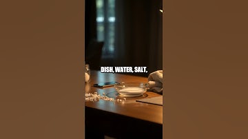 Singing Salt Waves Visualize Sound at Home