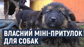 Власний міні-притулок для собак створила хмельничанка Наталя Білявська