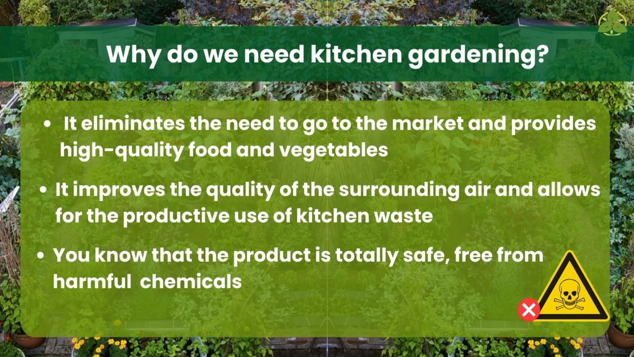 What is Kitchen Gardening : Introduction
