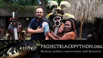 Boelens Python research in the field! w/Ari Flagle