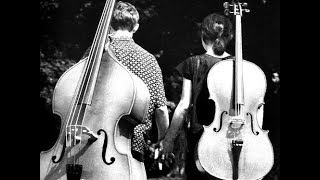 Love Story Theme - Double Bass Solo
Francis Lai - Love Story Soundtrack - Double Bass Solo - Plays Francesco Tesei - New Fan Page https://www.facebook.com/Teseoguitar - SUBSCRIBE! http://www.youtube.com/user/teseoguitar?sub_confirmation=1 Love Story Theme - Double Bass Solo