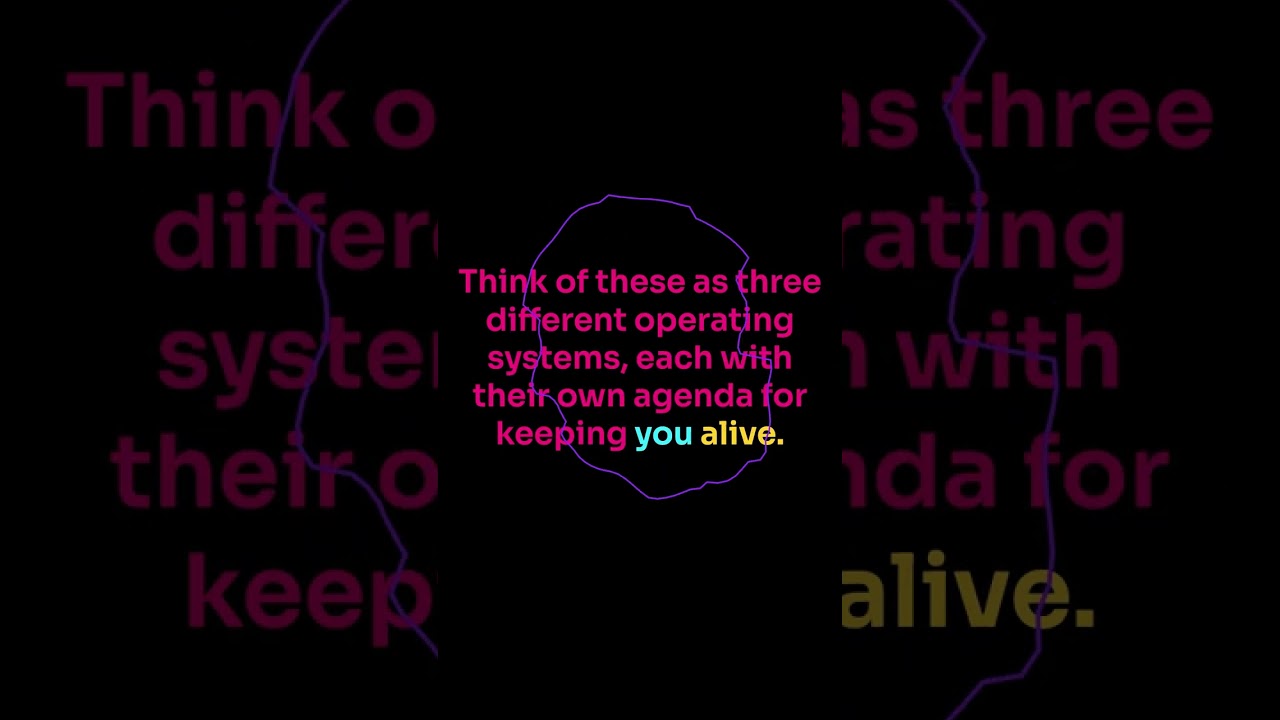 Hot Takes of Episode 15: SEXUAL DISCONNECTION: Why Your Body Keeps Ghosting You During Sex