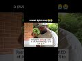 🤣😭 #rampagejackson #rampage #jonjones #tts #ytshorts #ufcfighter