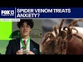 Tampa teen uses tarantula venom research for anxiety treatment