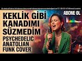 Keklik Gibi Kanadımı Süzmedim (Psychedelic Anatolian Funk Cover)
