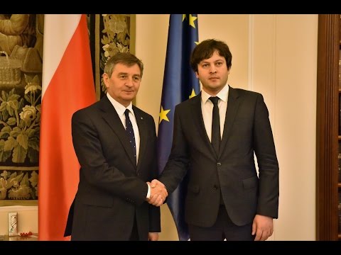 ირაკლი კობახიძის შეხვედრა მარეკ კუხჩინსკისთან და კომენტარი შეხვედრის შემდეგ