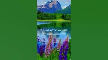 اكتب سبحان الله. تلاوة خاشعة لقرآن الكريم