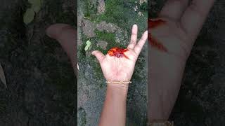 don't warry # just for entertainment purposes only # funny magic tricks tutorial for fun