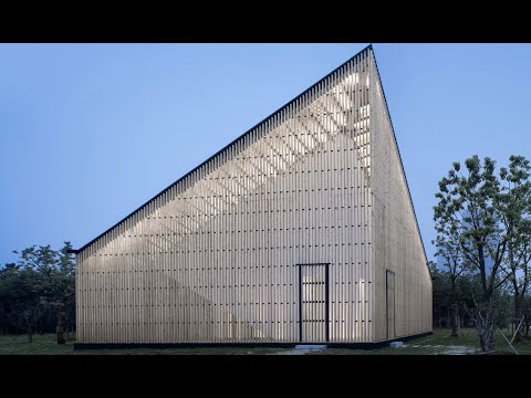 Transparent Wood For