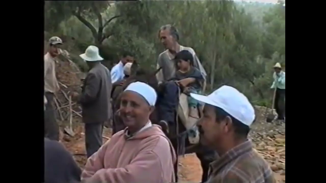 غيضة جبلية من فوق جبل يسوال زومي اقليم وزان