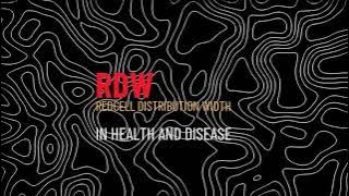 RDW: The Hidden Blood Test Clue to Your Health