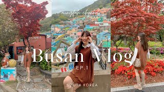 Busan Vlog EP.1 | 🇰🇷🍁🍜 เที่ยวปูซาน 2023, หมู่บ้าน Gamcheon, Songdo Beach, เดินเล่นย่านนัมโพดง